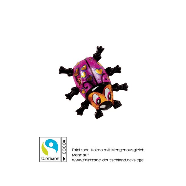 Bunter Nougatkäfer