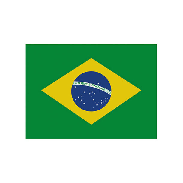 Fahne Brasilien