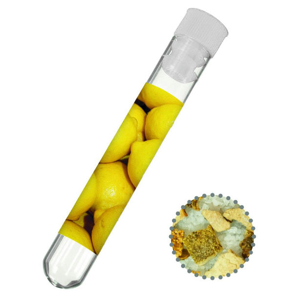 Gewürzmischung Zitronen-Salz, ca. 8g, Reagenzglas