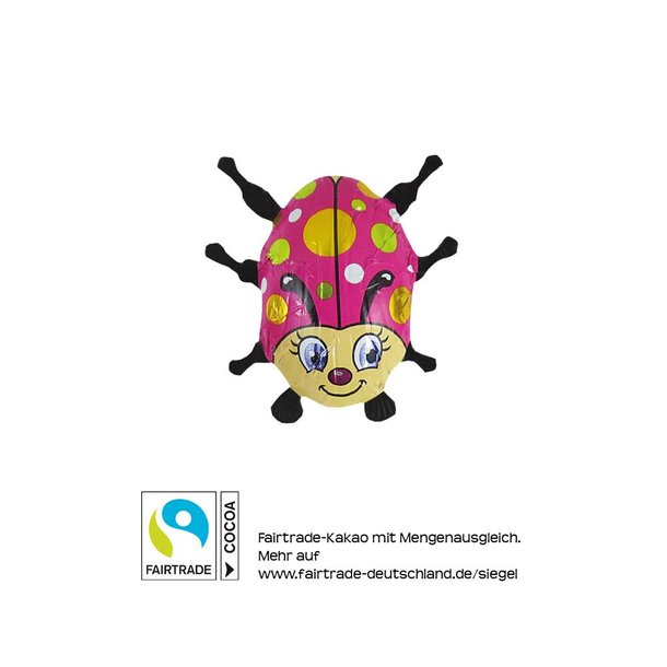Großer Käfer