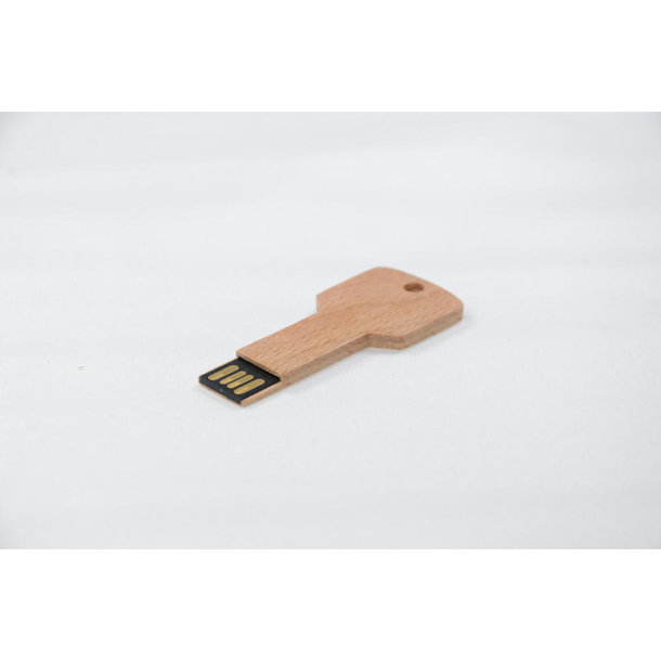 H-M31 USB 2.0 COB   1 GB Ahorn