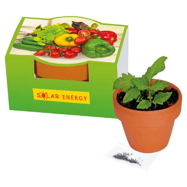 Naschgemüse-Töpfchen Paprika