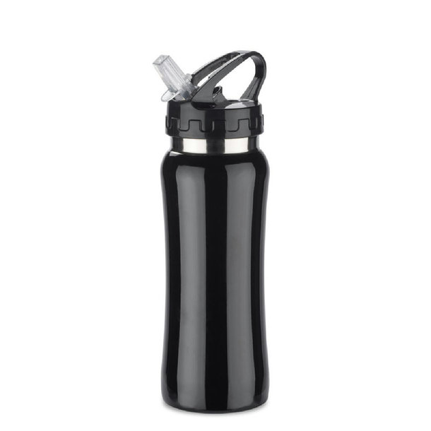 Stahlflasche PATRO 600 ml