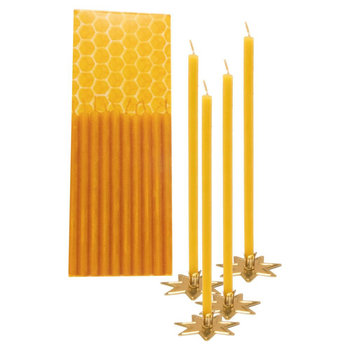 Bienenwachs-Adventslichter
