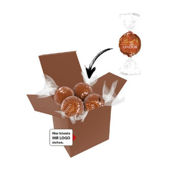 Color Lindor Box - Braun - Haselnuss