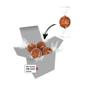 Color Lindor Box - Graskarton - Haselnuss