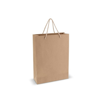 Geschenktüte aus Papier 120g/m² 24x12x33cm