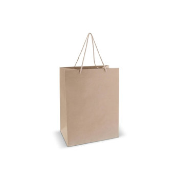 Geschenktüte aus Papier 120g/m² 30x20x40cm