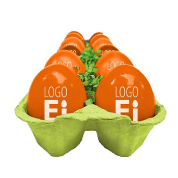 LogoEi 12er-Box - Blau - Orange