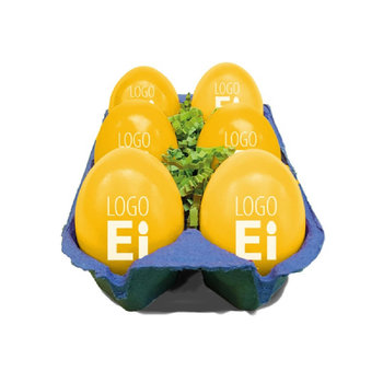 LogoEi 6er-Box - Blau - Gelb