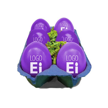 LogoEi 6er-Box - Blau - Lila