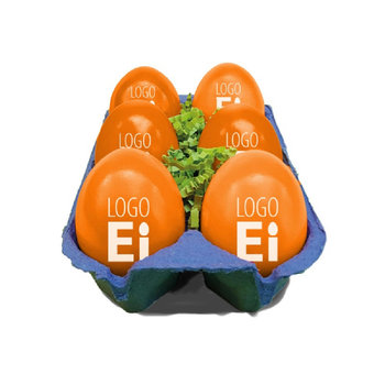 LogoEi 6er-Box - Blau - Orange