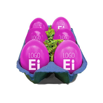 LogoEi 6er-Box - Blau - Pink