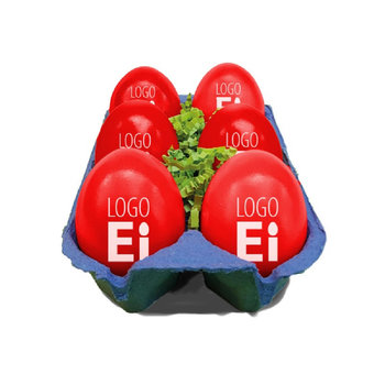 LogoEi 6er-Box - Blau - Rot