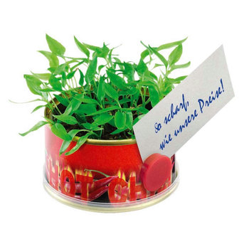 Minigarten Hot mit Magnet