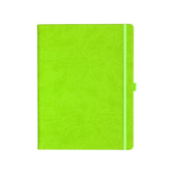 Notizbuch Style Large im Format 19x25cm, Inhalt blanco, Einband Slinky in der Farbe Lime